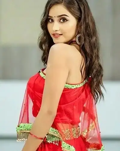 Call Girls Service Naxalbari